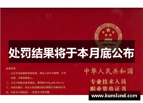 处罚结果将于本月底公布